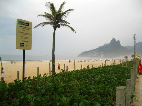 Olhe o “matinho” da praia aí, gente