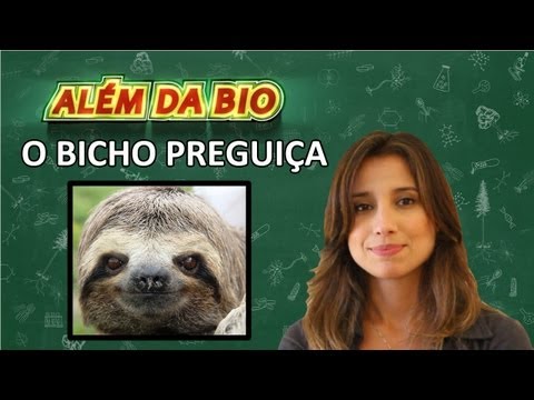 Por que o bicho-preguiça é lerdo?