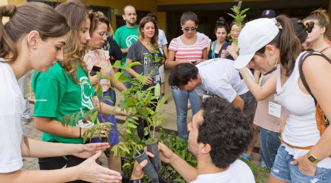 Ação ambiental: plante árvores da Mata Atlântica!