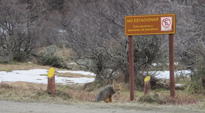 Turista: não alimente os animais silvestres