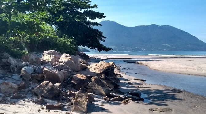 Dia Mundial da Água: o que você está fazendo com ela?