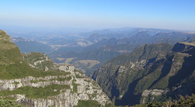 Mata Atlântica está se recuperando aos poucos, aponta estudo